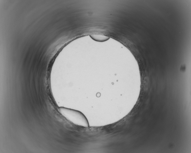 X0000116140338201001041037