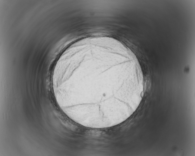 X0000116140339201001041037