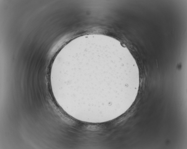 X0000116140341201001041037