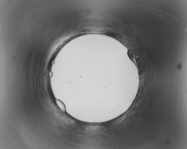 X0000116140342201001041037