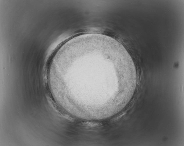 X0000116140343201001041037