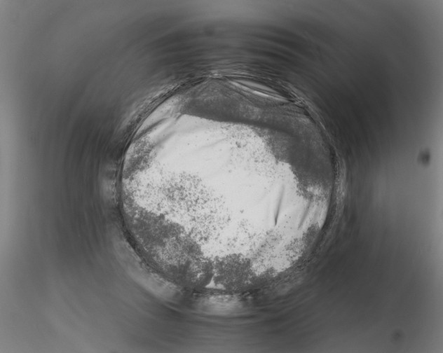 X0000116140353201001041037