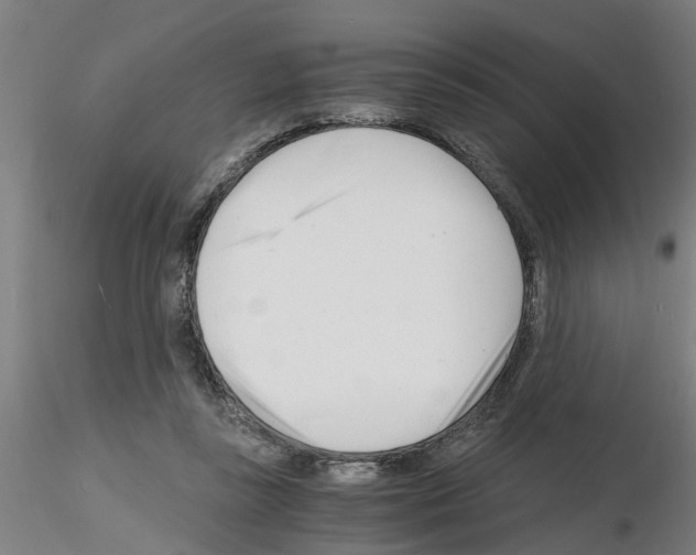 X0000116140355201001041037