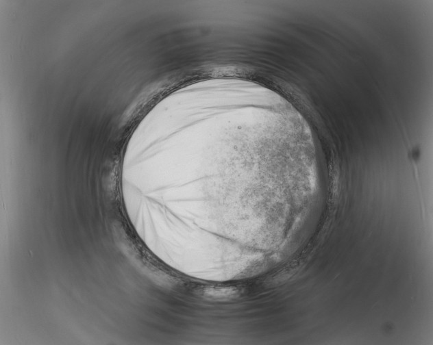 X0000116140357201001041037