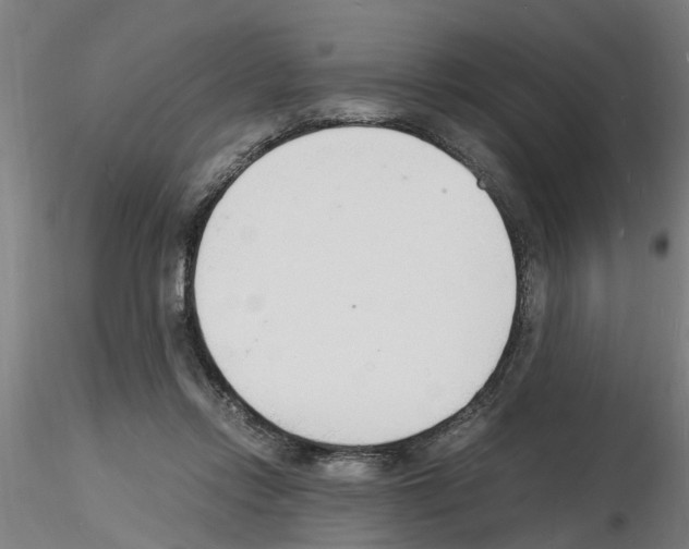 X0000116140358201001041037