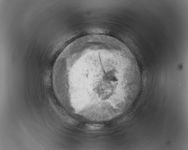 X0000116140359201001041037