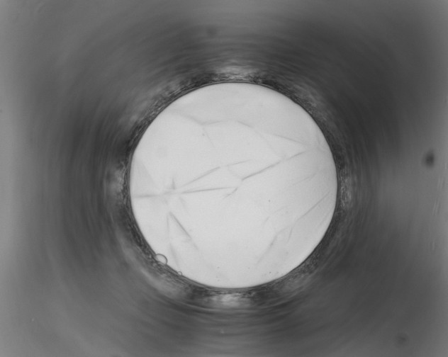 X0000116140365201001041037