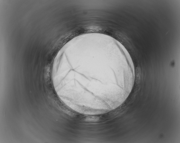 X0000116140369201001041037