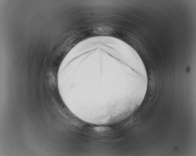 X0000116140371201001041037