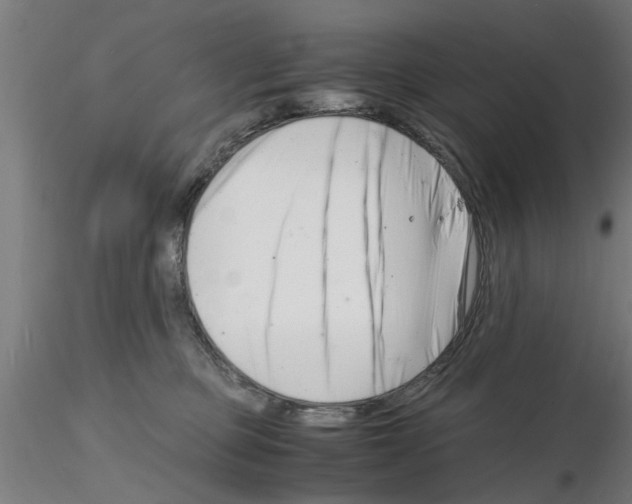 X0000116140373201001041037