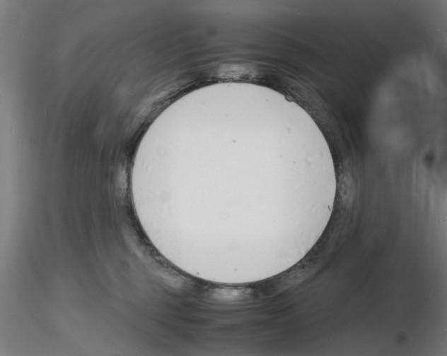 X0000116140375201001041037