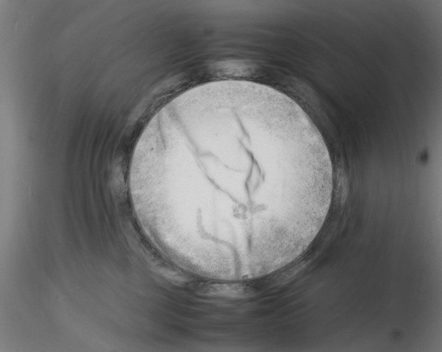 X0000116140377201001041037