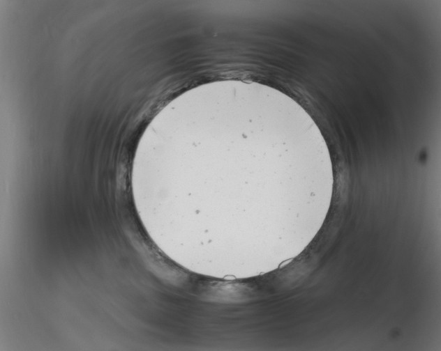 X0000116140379201001041037