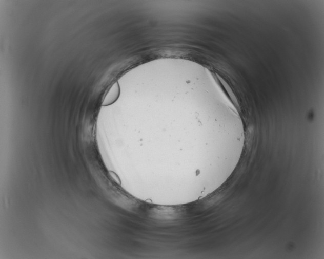 X0000116140381201001041037