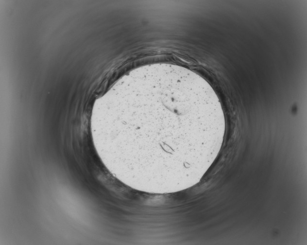 X0000116140382201001041037