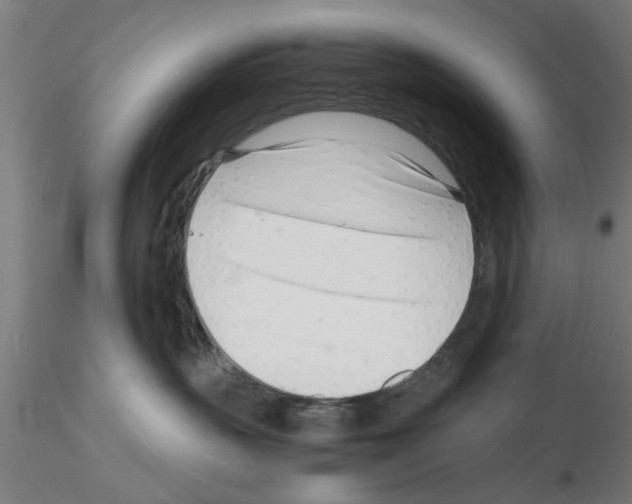 X0000116140383201001041037