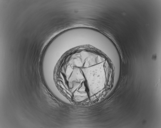 X0000116140387201001041037