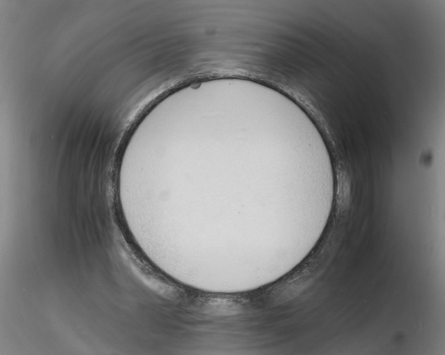 X0000116140390201001041037