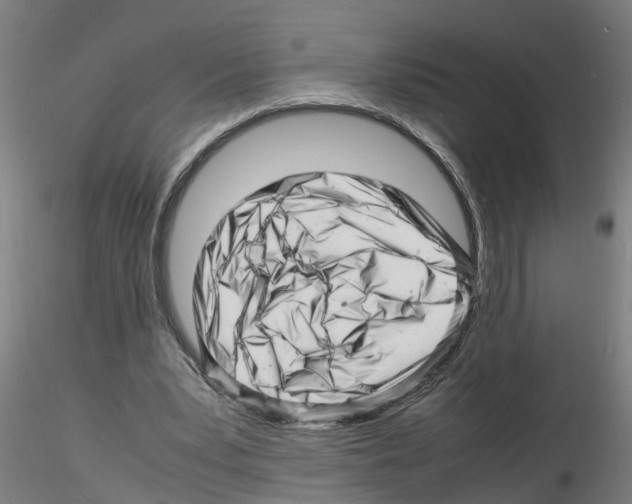 X0000116140391201001041037