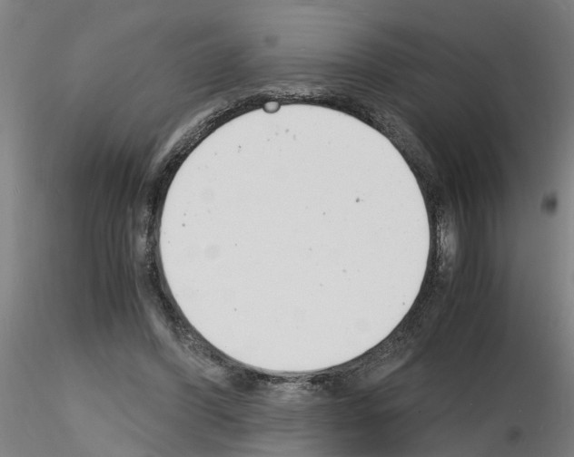 X0000116140396201001041037