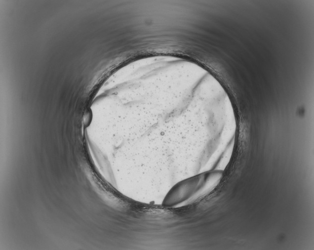 X0000116140397201001041037