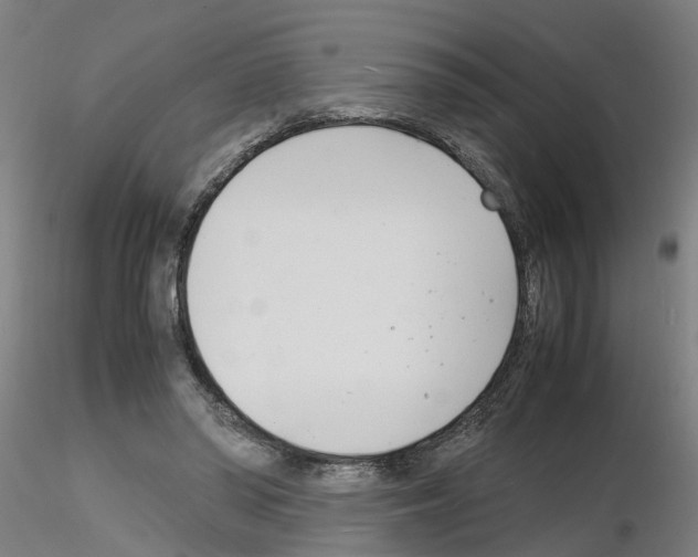 X0000116140398201001041037