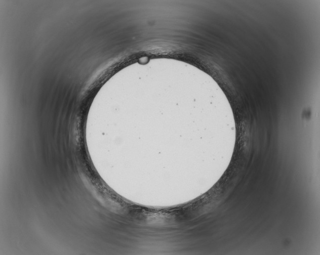 X0000116140400201001041037