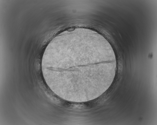 X0000116140401201001041037