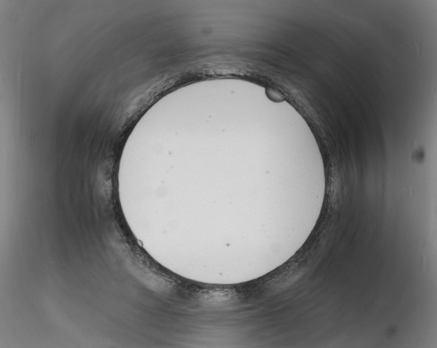 X0000116140402201001041037