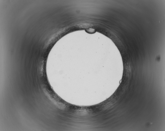 X0000116140404201001041036