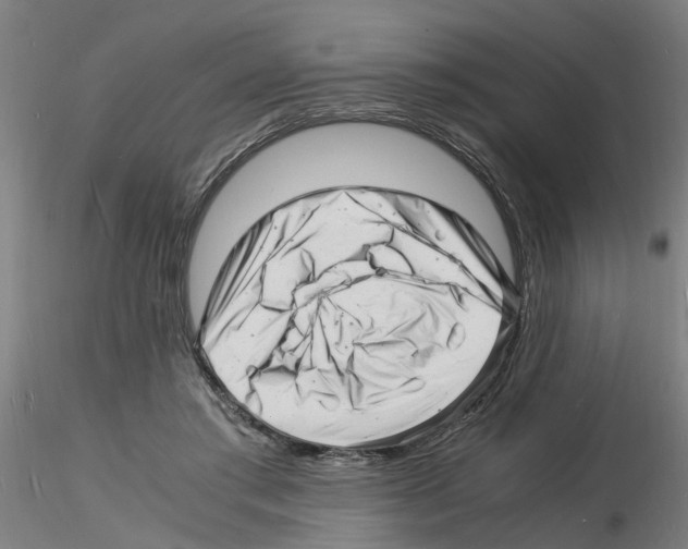 X0000116140405201001041036