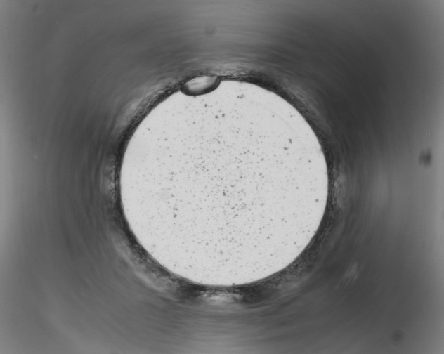 X0000116140407201001041036