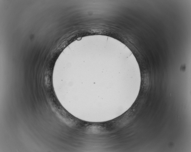 X0000116140408201001041036