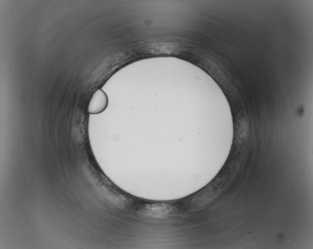 X0000116140414201001041036