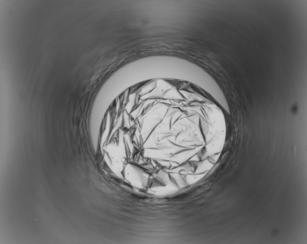 X0000116140419201001041036