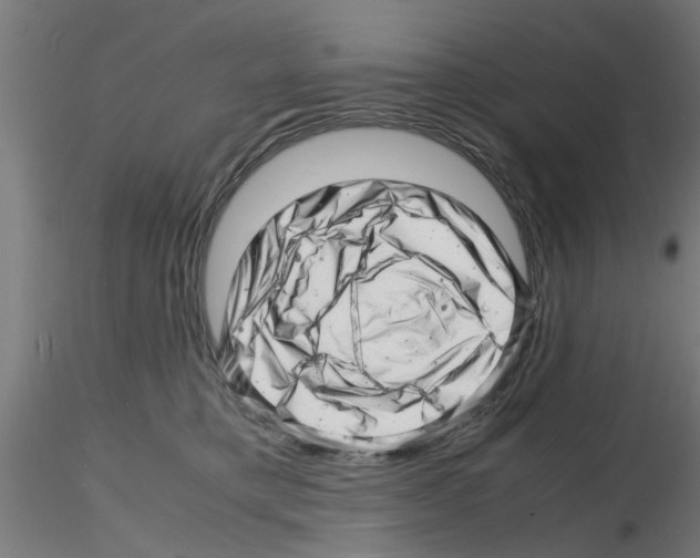 X0000116140421201001041036