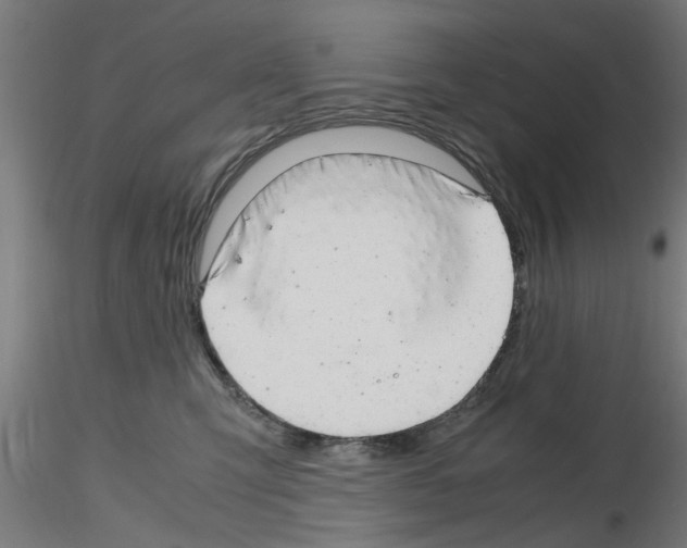 X0000116140423201001041036