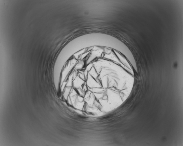 X0000116140425201001041036