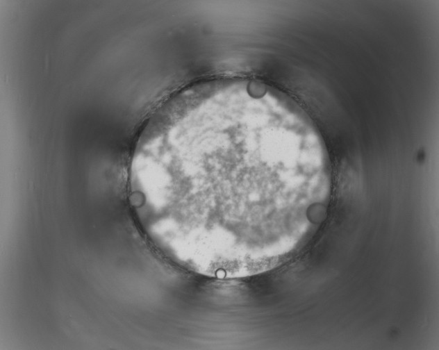 X0000116140427201001041036