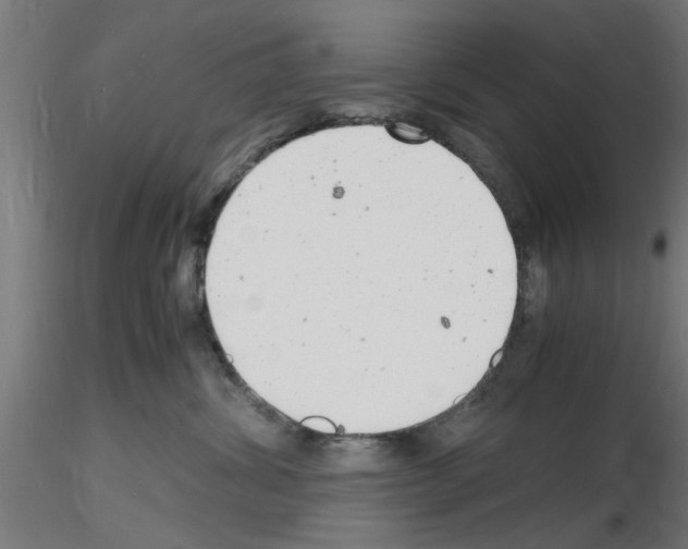 X0000116140428201001041036