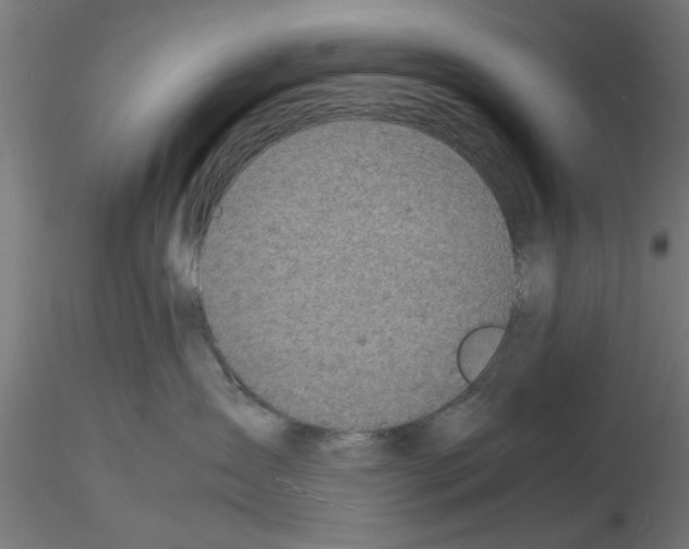 X0000116140431201001041036