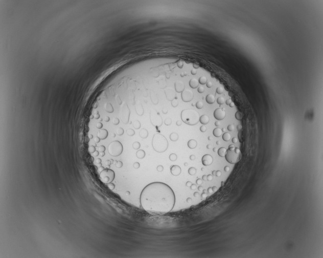 X0000116140435201001041035