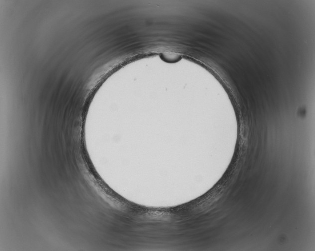 X0000116140437201001041036