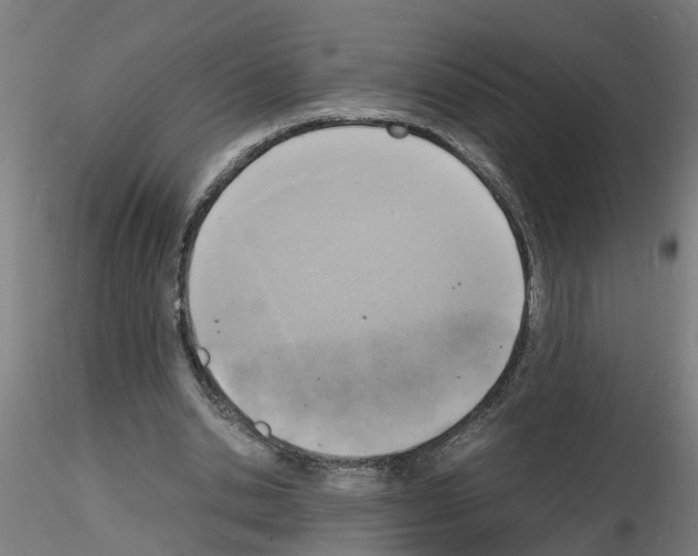 X0000116140438201001041036