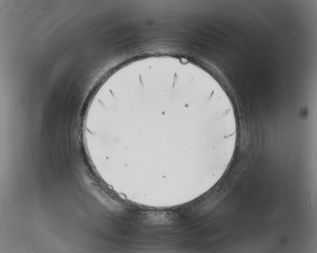 X0000116140439201001041036