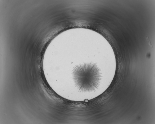 X0000116140443201001041036