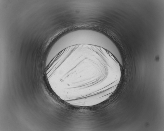 X0000116140444201001041036