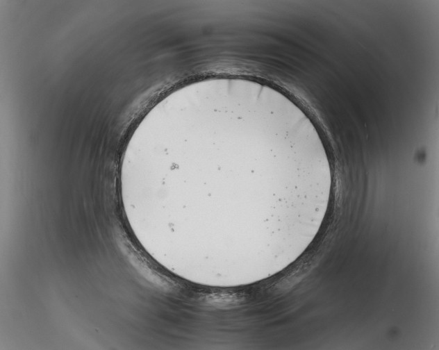 X0000116140445201001041036