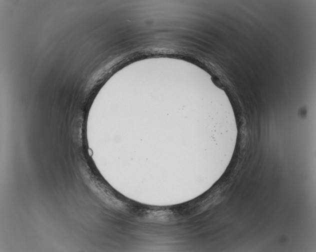 X0000116140446201001041036