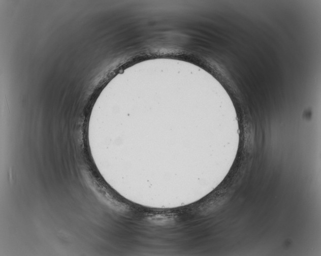 X0000116140447201001041036